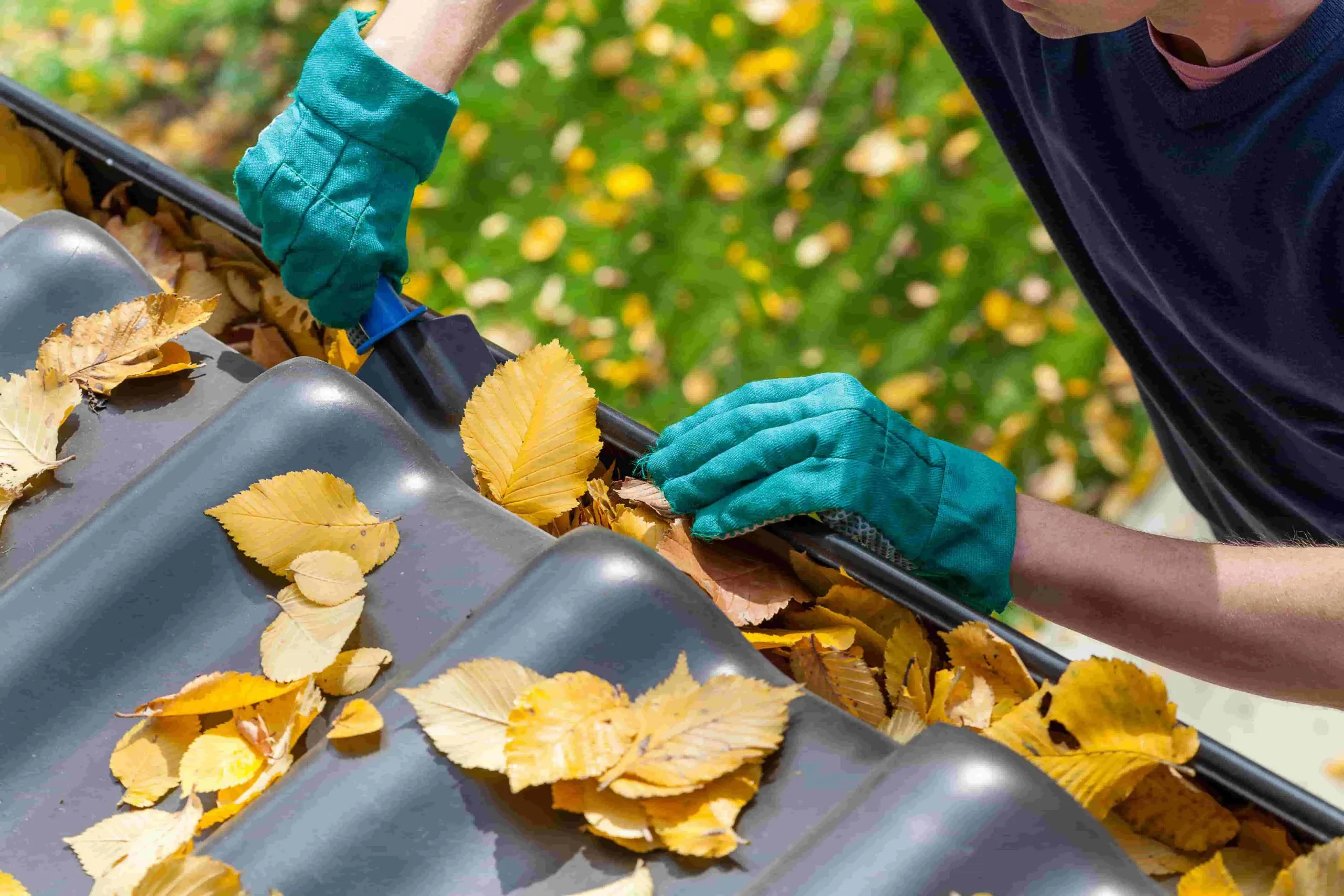 Gutter Cleaning, Superior Soft Wash
