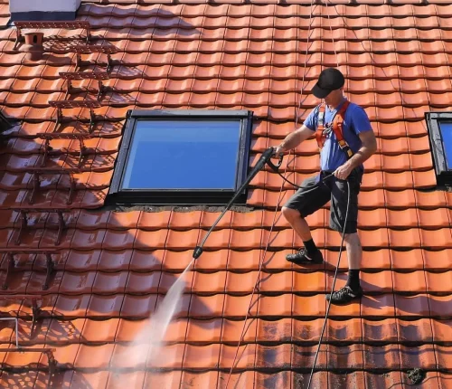 Roof Cleaning, Superior Soft Wash